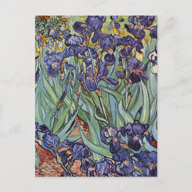 Carte Postale Iris de Van Gogh Peinture Impressionniste (Devant)