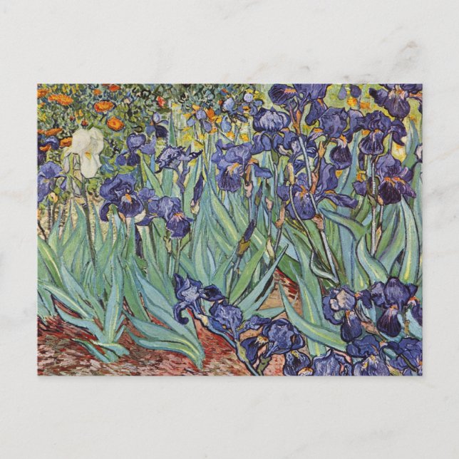 Carte Postale Iris de Van Gogh Peinture Impressionniste (Devant)