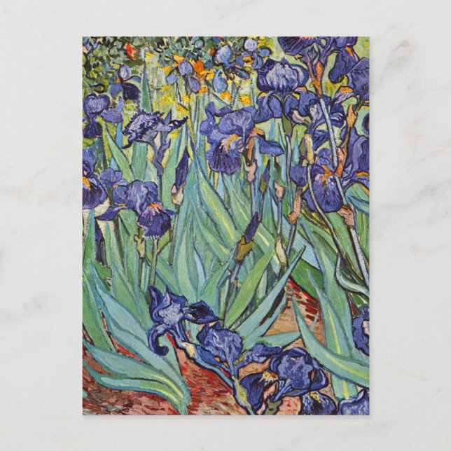 Carte Postale Iris de Van Gogh Peinture Impressionniste (Devant)