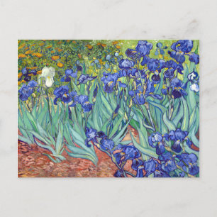 Carte Postale Iris de Vincent van Gogh