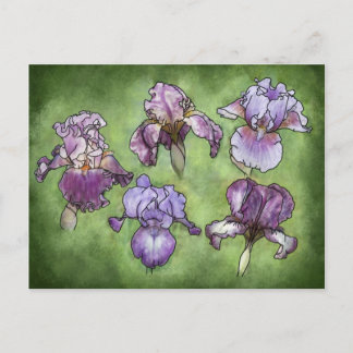 Carte Postale Iris en violet