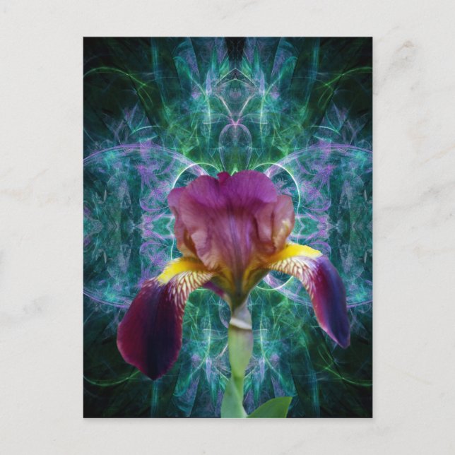 Carte Postale Iris et sa signification (Devant)