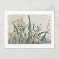 Iris Flowers and Grasshopper, c.1830-31