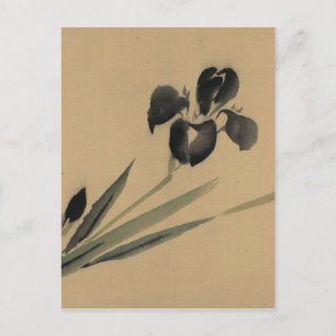 Carte Postale Iris japonais Ukiyo-e Art
