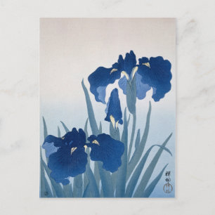 Carte Postale Iris par Ohara Koson
