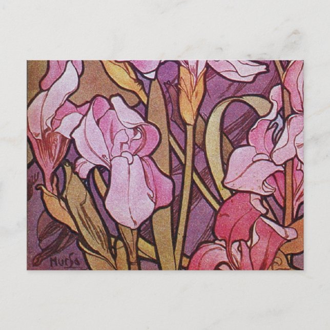 Carte Postale Iris pourpre (Devant)