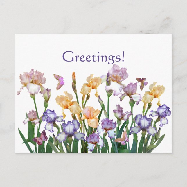 Carte Postale Iris Purple (Devant)