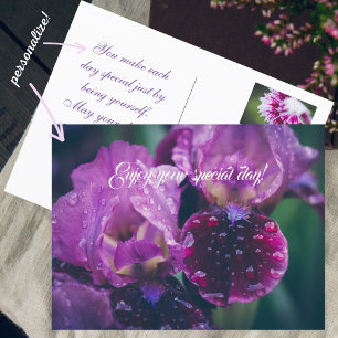 Carte Postale Iris violet après la pluie