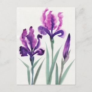 Carte Postale Irises