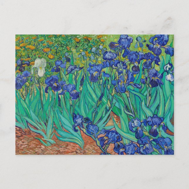Carte Postale Irises 1889 par Vincent Van Gogh Fine Art Flowers (Devant)
