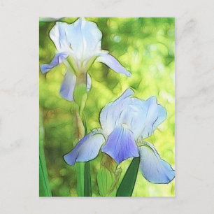 Carte Postale Irises bleues romantiques