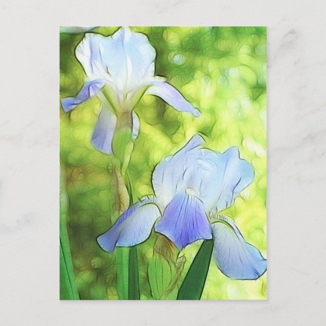 Carte Postale Irises bleues romantiques (Devant)