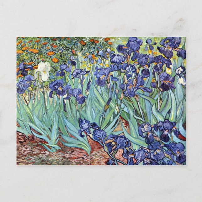 Carte Postale Irises by Vincent van Gogh 1898 (Devant)