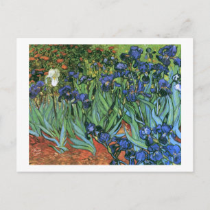 Carte Postale Irises (F608) Van Gogh Fine Art