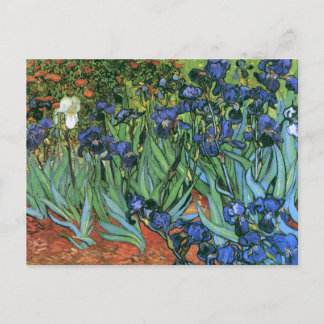 Carte Postale Irises (F608) Van Gogh Fine Art