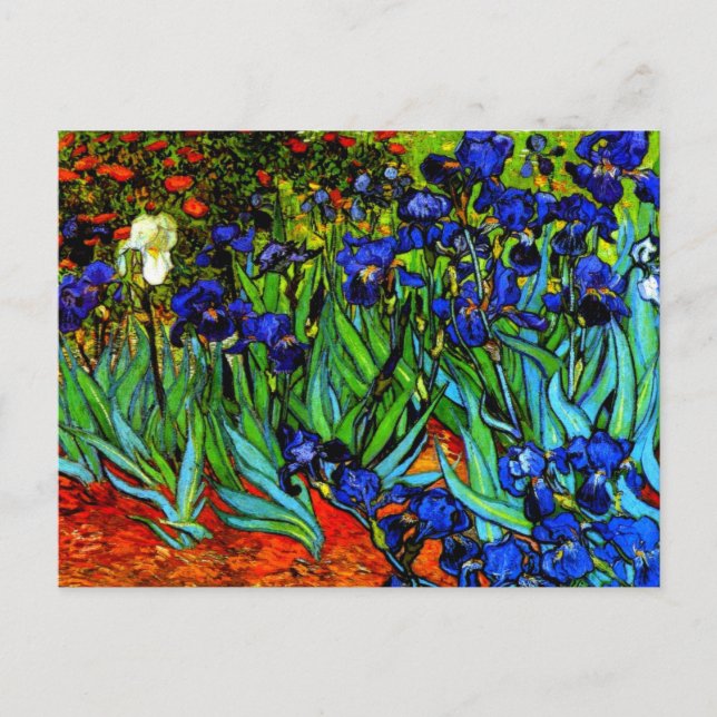 Carte Postale Irises, le célèbre tableau floral de Van Gogh (Devant)