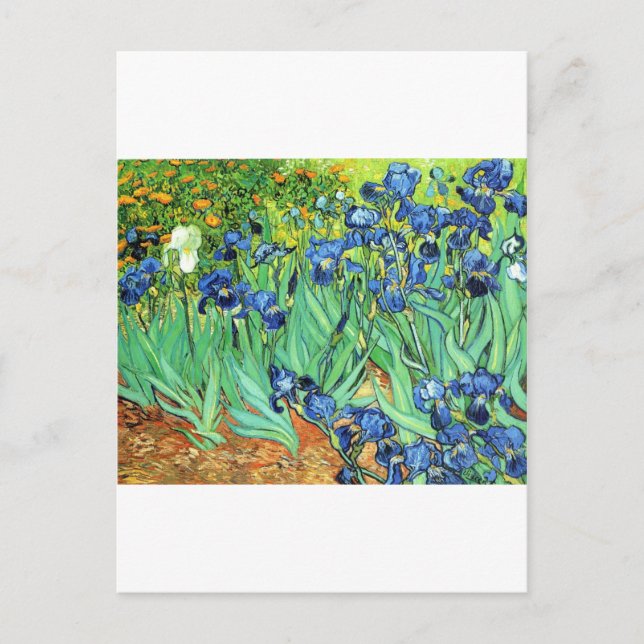 Carte Postale Irises ~ Monet (Devant)