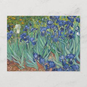 Carte Postale Irises par Vincent Van Gogh