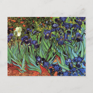 Carte Postale Irises par Vincent van Gogh