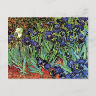 Carte Postale Irises par Vincent van Gogh