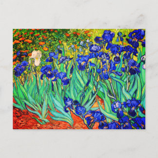 Carte Postale Irises par Vincent Van Gogh