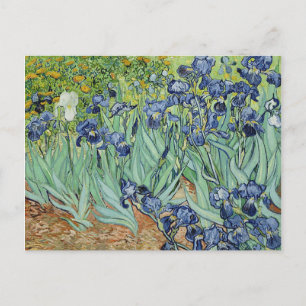 Carte Postale Irises par Vincent van Gogh