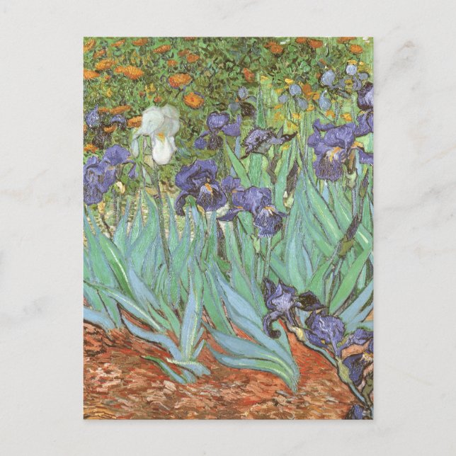 Carte Postale Irises par Vincent van Gogh (Devant)