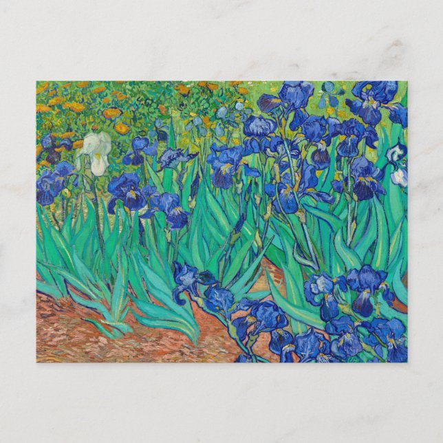 Carte Postale Irises par Vincent van Gogh (Devant)