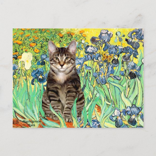 Carte Postale Irises - Tabby Tiger cat 30 (Devant)