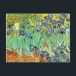 Carte Postale Irises - Van Gogh - c1889<br><div class="desc">Montrez aux gens votre style et votre raffinement avec cette reproduction d'une oeuvre d'art fine intitulée "Irises" par Vincent van Gogh. Peinture d'iris bleus poussant dans un champ. Peint vers 1889</div>