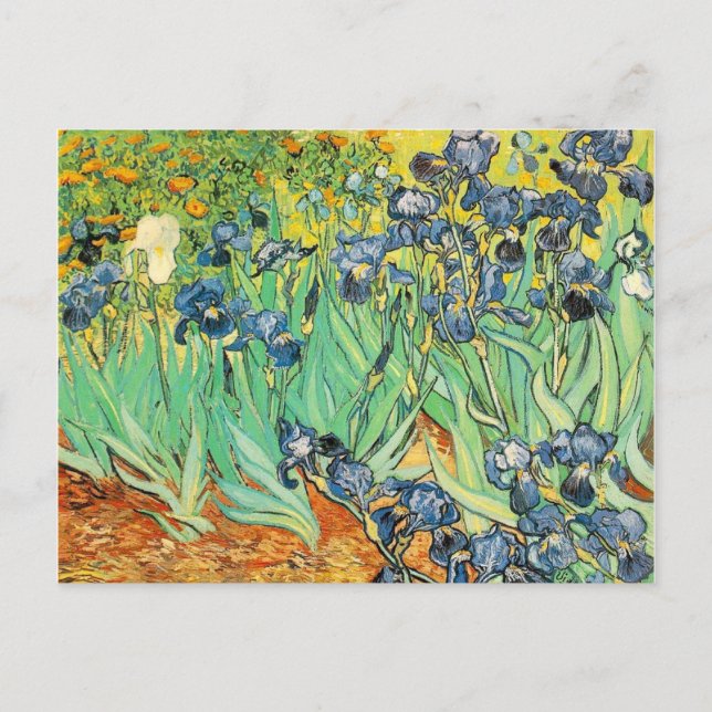 Carte Postale Irises - Van Gogh - c1889 (Devant)