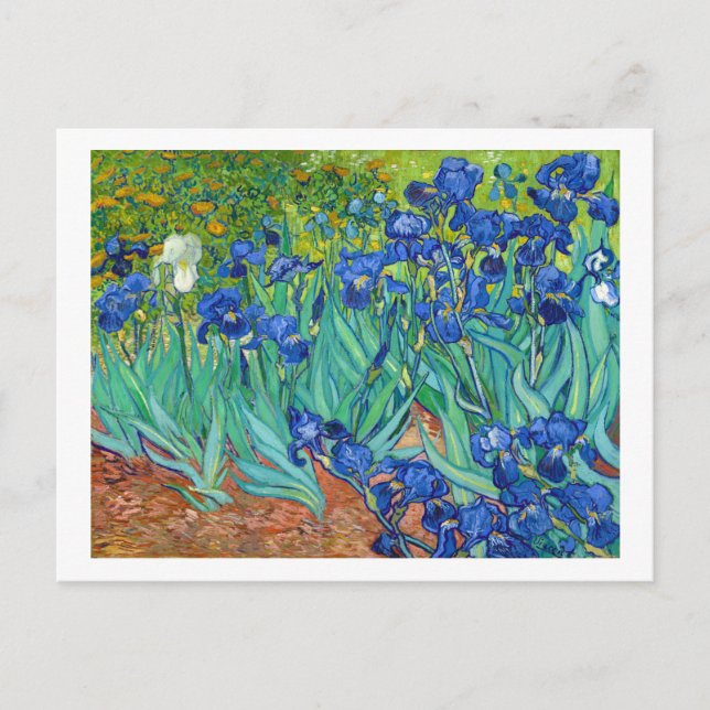 Carte Postale Irises, Vincent van Gogh (Devant)