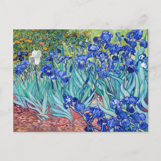 Carte Postale Irises Vincent van Gogh (Devant)