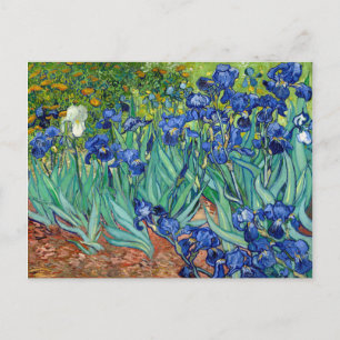 Carte Postale Irises Vincent van Gogh peinture Vintage florale
