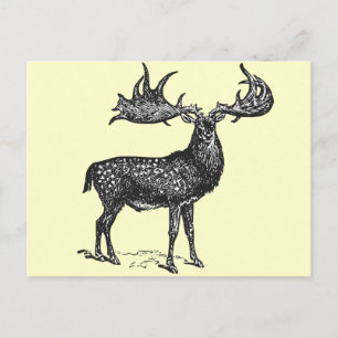 Carte Postale Irish Deer