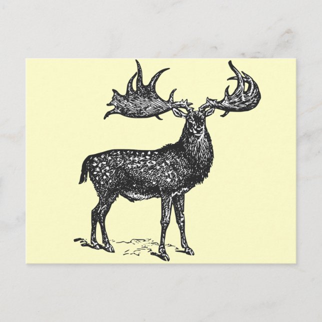 Carte Postale Irish Deer (Devant)