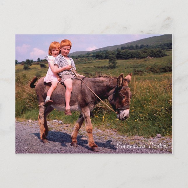 Carte postale Irish Images (Devant)