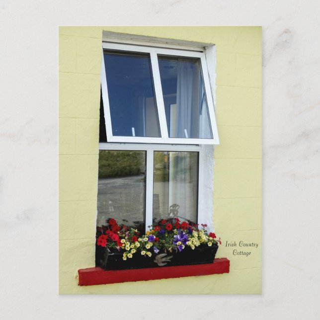 Carte postale Irish Images (Devant)
