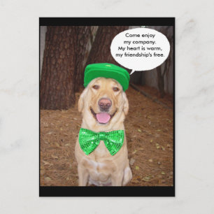 Carte Postale Irish Lab Dit