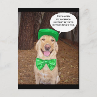 Carte Postale Irish Lab Dit