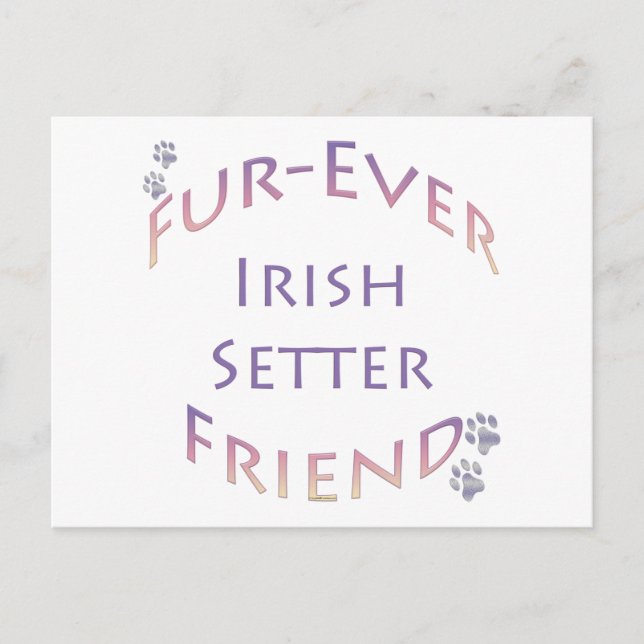 Carte Postale Irish Setter Furever (Devant)