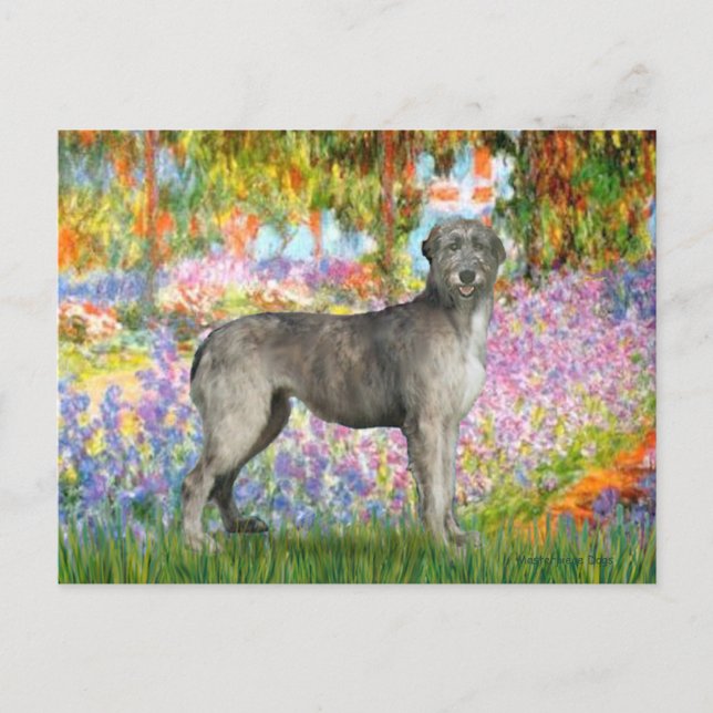Carte Postale Irish Wolfhound 3 - Garden (Devant)