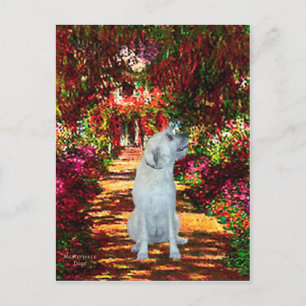 Carte Postale Irish Wolfhound 4 - Le Chemin