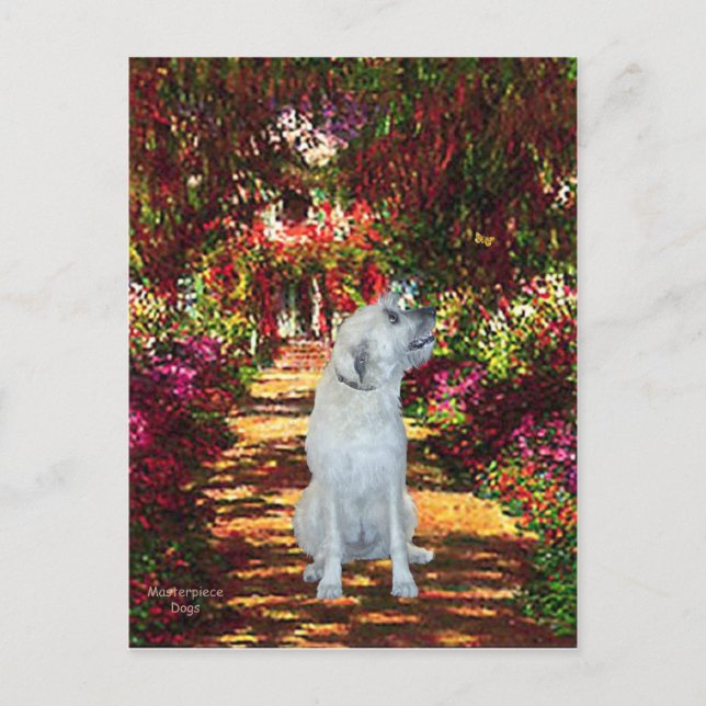 Carte Postale Irish Wolfhound 4 - Le Chemin (Devant)