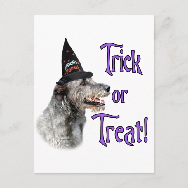 Carte Postale Irish Wolfhound Trick (Devant)