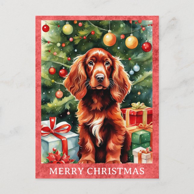 Carte Postale Irlandais Setry Joyeux Noël mignon Chien Chien Chi (Devant)