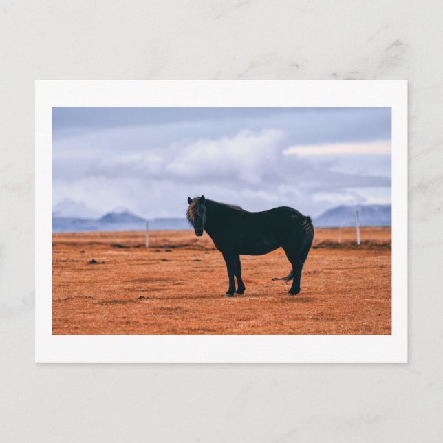 Carte postale islandaise noire (Devant)