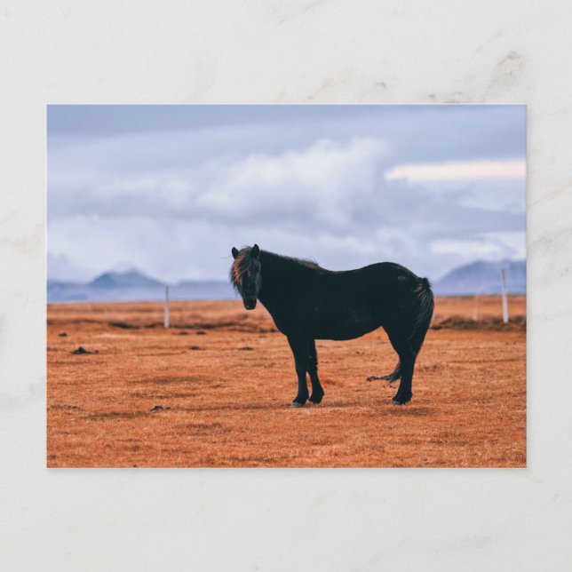 Carte postale islandaise noire (Devant)