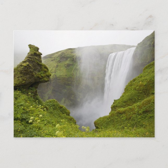 Carte Postale Islande. La cascade Skogarfoss plonge au-dessus d' (Devant)
