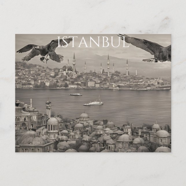 Carte Postale Istanbul (6) (Devant)